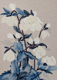 Detail shot of picture of hellebores