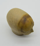 Sienna by Sally Fitchard