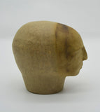 Sienna by Sally Fitchard