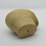 Sienna by Sally Fitchard