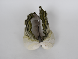 Title: Lichen Artist: Lucy Gray Medium: pigmented jesmonite Size: H 17 x W 28 x D 20 cm (on its side)