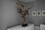 Title: Eagle Artist: Lucy Gray Medium: found wood and roots, pigmented gesso, palladium leaf Size: H 125 x W 115 x D 75 cm (in situ)