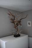 Title: Eagle Artist: Lucy Gray Medium: found wood and roots, pigmented gesso, palladium leaf Size: H 125 x W 115 x D 75 cm (in situ II)