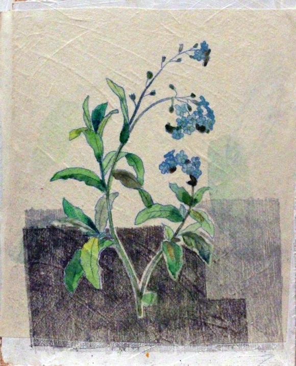 Title: Forget Me Not Artist: Sarah J. Stanley Medium: oil paint on hardback book cover(unframed) Size: 21 cm x 15 cm. A botanical study of a foret-me-not flower