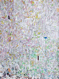 Patricia Paolozzi Cain's '10 Birds' is an abstract drawing in coloured pencil alluding to leaves, branches an possibly birds. 