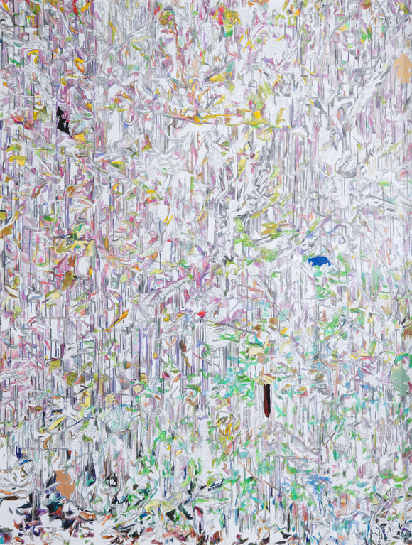 Patricia Paolozzi Cain's '10 Birds' is an abstract drawing in coloured pencil alluding to leaves, branches an possibly birds. 