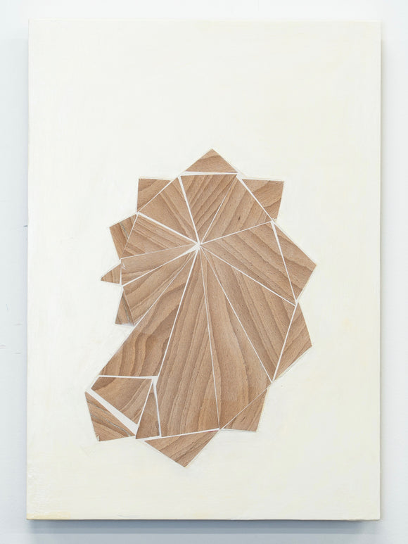 Geometric abstract design made from fragments of wood