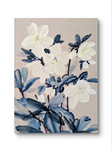 Picture is a detailed study of a hellebores. Muted, the pallet only consists of ink blue, white and cream. 