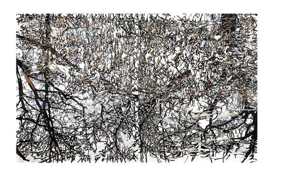 Patricia Paolozzi Cain's 'When You Are Falling, Dive' is a diptych composed of two drawings of reed filled pond reflecting a canopy of trees. The colours are black and white with a hint of ochre. 