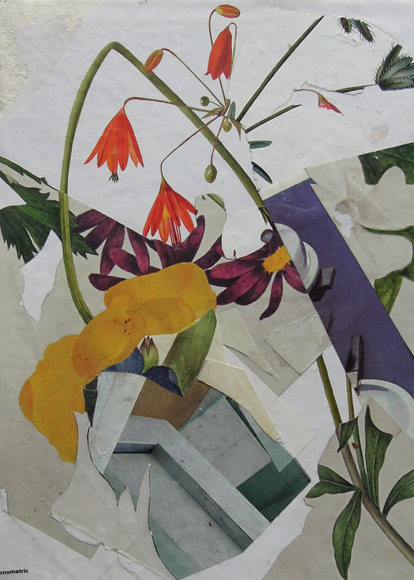 Title: Untitled Flower Project 2 Artist: Benjamin West Medium: collage on card Size: 21cm x 15cm  Framed size: 31cm x 26cm