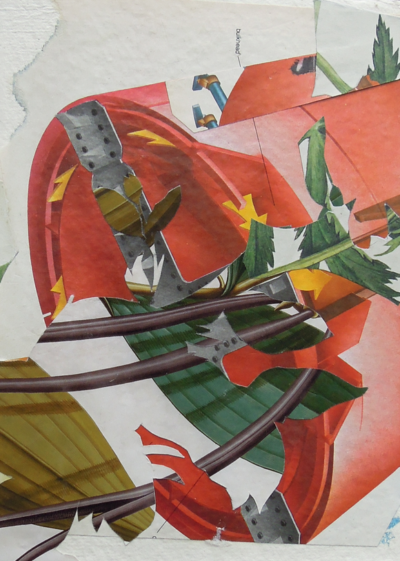 Title: Untitled Flower Project 3 Artist: Benjamin West Medium: collage on card Size: 21cm x 15cm  Framed size: 31cm x 26cm