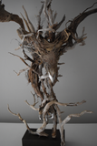 Title: Eagle Artist: Lucy Gray Medium: found wood and roots, pigmented gesso, palladium leaf Size: H 125 x W 115 x D 75 cm (detail)
