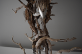 Title: Eagle Artist: Lucy Gray Medium: found wood and roots, pigmented gesso, palladium leaf Size: H 125 x W 115 x D 75 cm (detail of beak and claws)