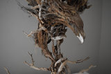 Title: Eagle Artist: Lucy Gray Medium: found wood and roots, pigmented gesso, palladium leaf Size: H 125 x W 115 x D 75 cm (detail of head)