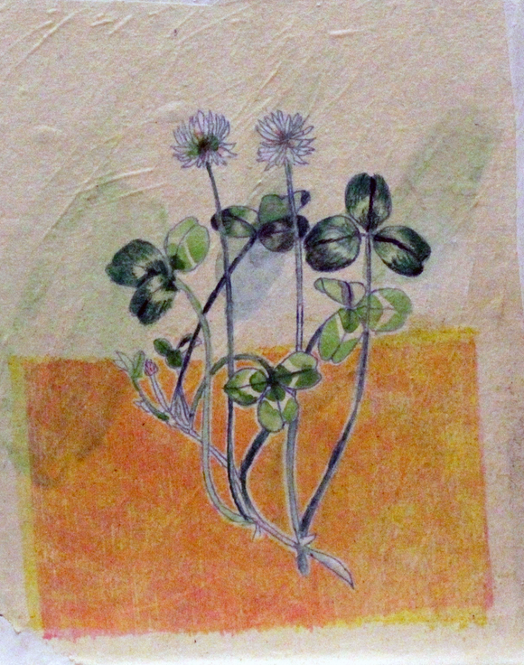 Title: Clover Artist: Sarah J. Stanley Medium: oil paint on book cover(unframed) Size: 19 cm x 17 cm. A botanical study of wild clover.