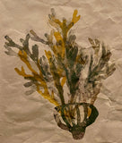 Title: Underwater Love Artist: Maureen Nathan Medium: monoprint on recycled paper (framed) Size: 35 cm x 40 cm 